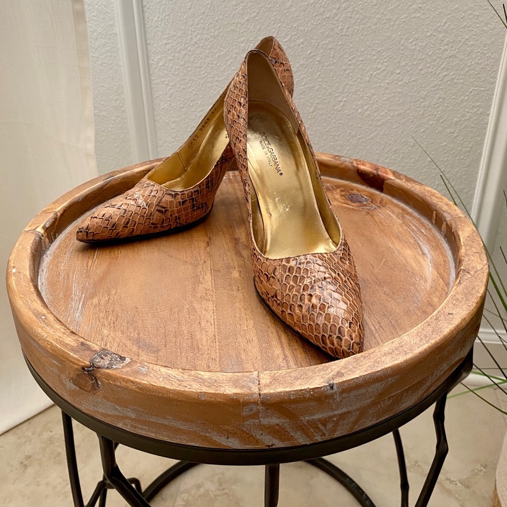 💕 Dolce & Gabbana Python Pumps